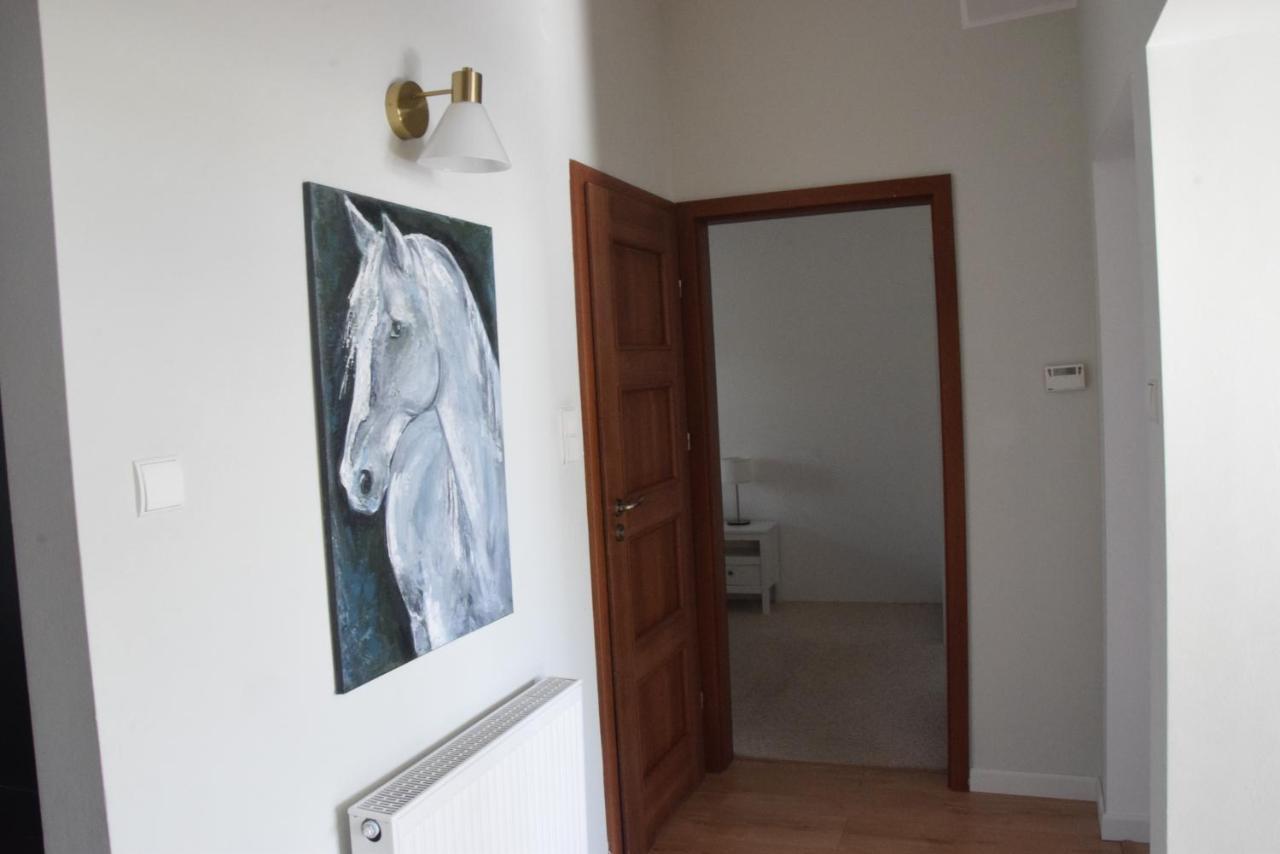 Urocze Przestronne,W Idealnej Lokalizacji Apartamento Bielsko-Biala Exterior foto